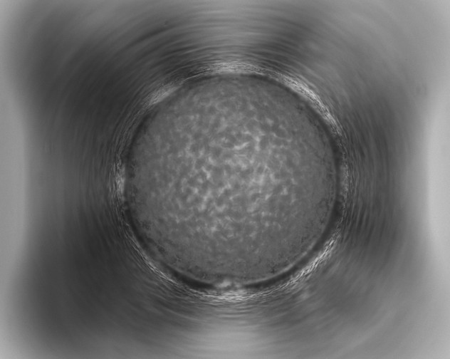 X0000093400841200710260915