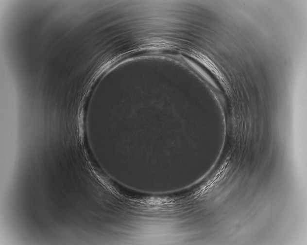 X0000093400842200710260915