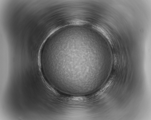 X0000093400843200710260915