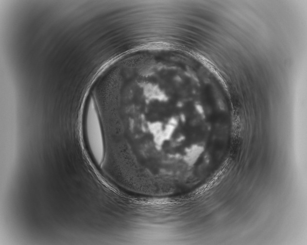 X0000093400845200710260915