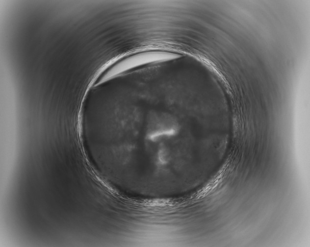 X0000093400846200710260915