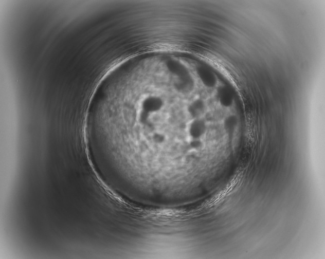 X0000093400847200710260915