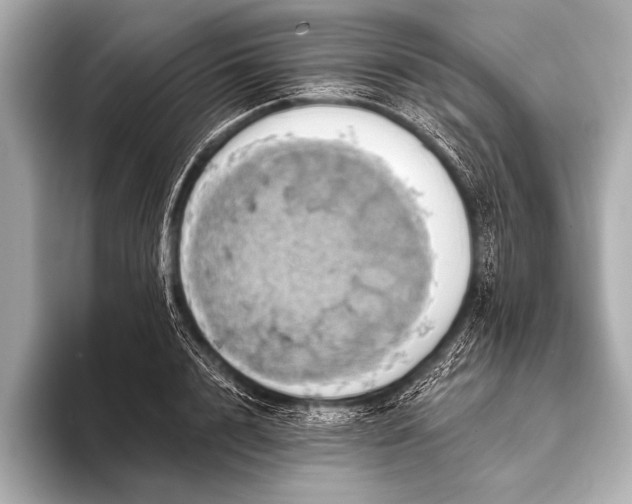 X0000093400848200710260915