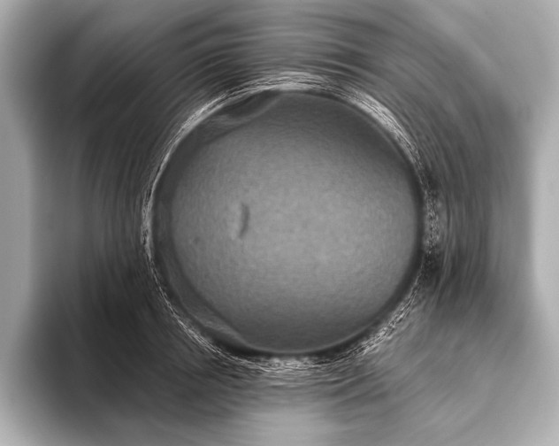 X0000093400850200710260915