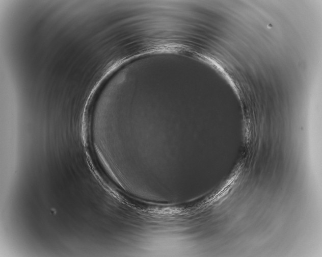 X0000093400851200710260915