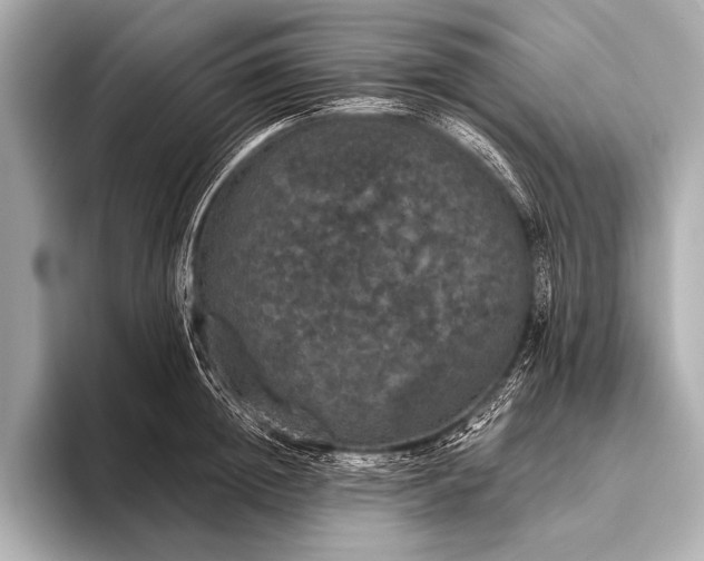 X0000093400852200710260916