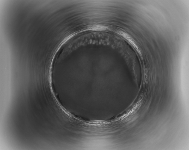 X0000093400853200710260916