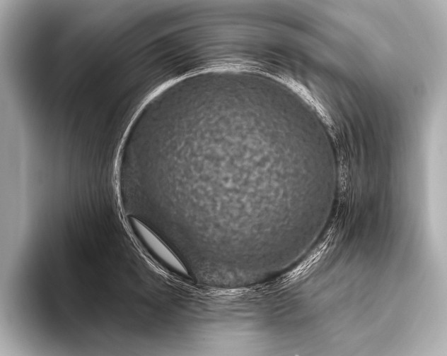 X0000093400854200710260916