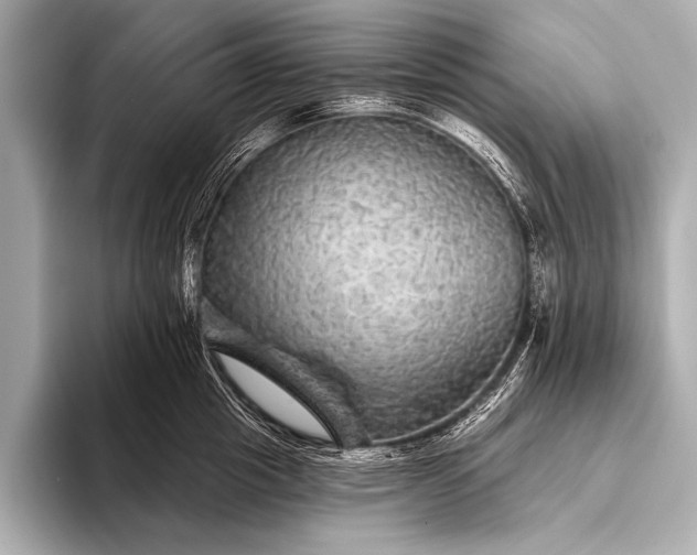 X0000093400857200710260916