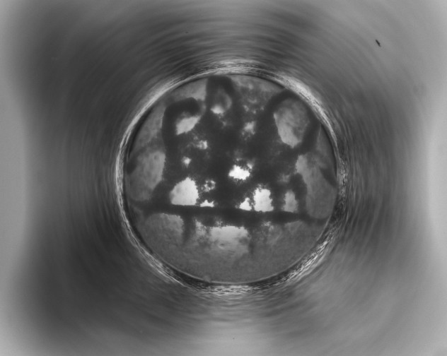 X0000093400859200710260916