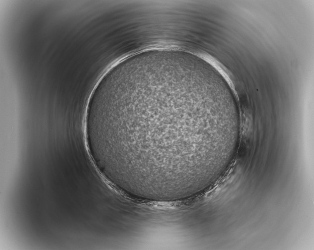 X0000093400861200710260916