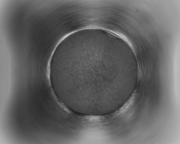 X0000093400862200710260916