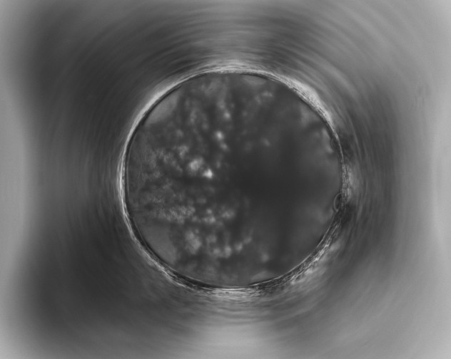 X0000093400863200710260916