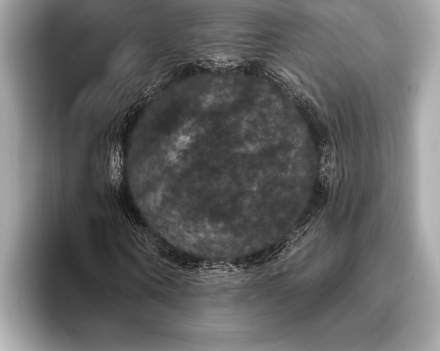 X0000093400866200710260915