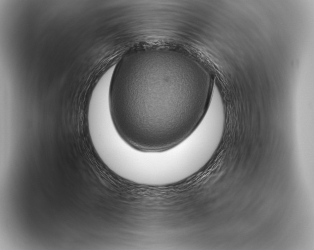 X0000093400868200710260915