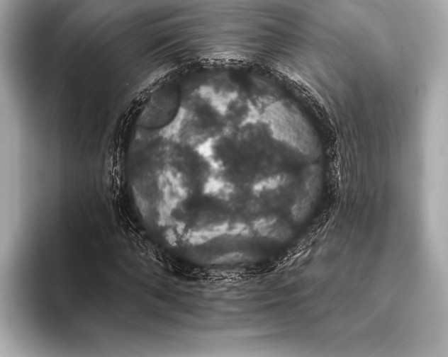 X0000093400870200710260915