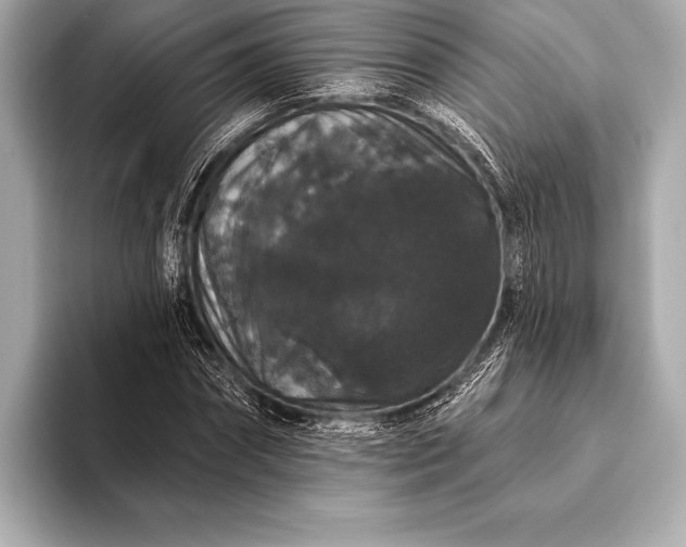 X0000093400874200710260915