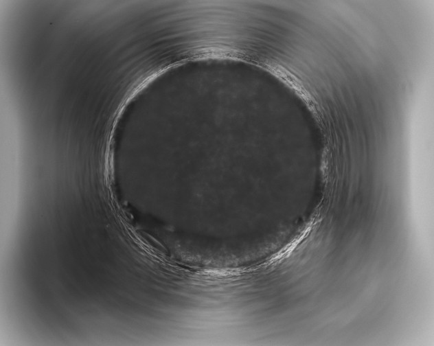 X0000093400877200710260915