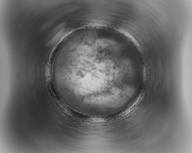 X0000093400878200710260915