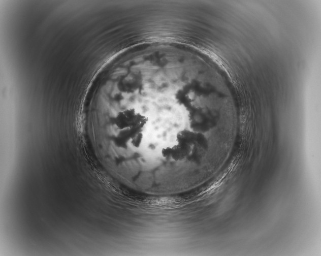 X0000093400879200710260915