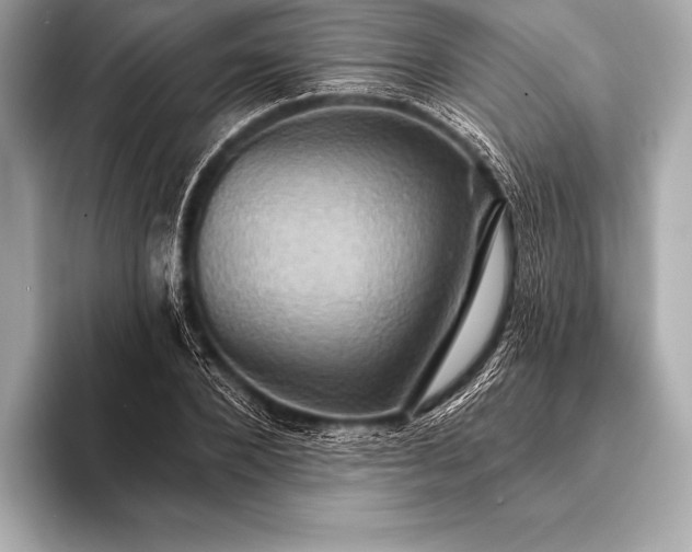 X0000093400880200710260915