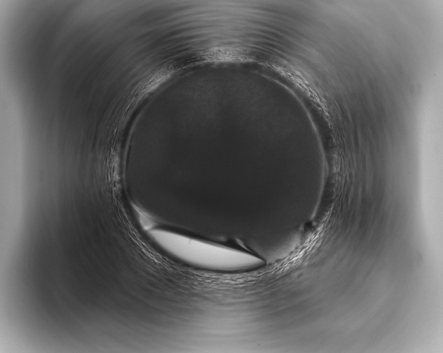 X0000093400881200710260915