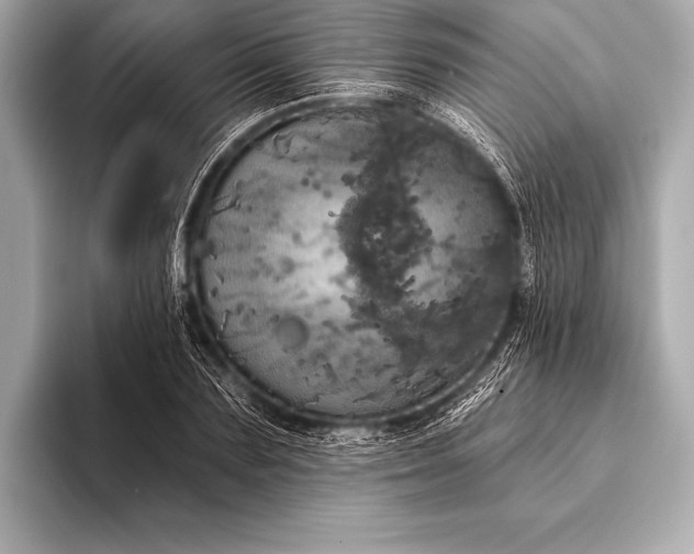 X0000093400883200710260915