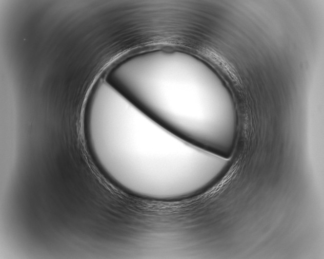 X0000093400884200710260915