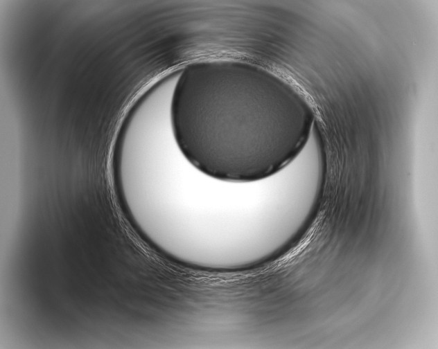 X0000093400885200710260915