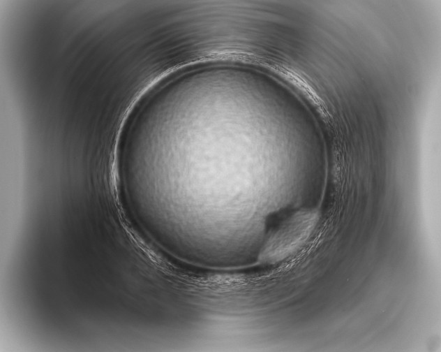 X0000093400888200710260915