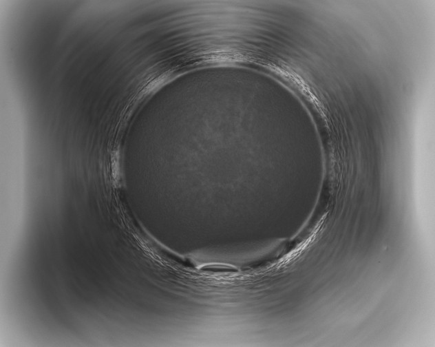 X0000093400889200710260915