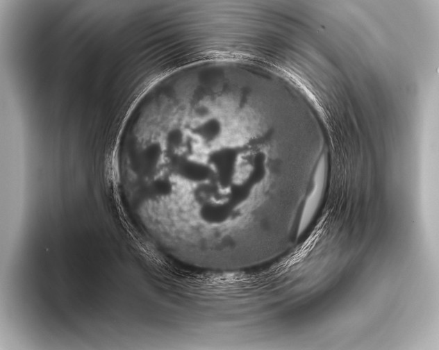 X0000093400891200710260915