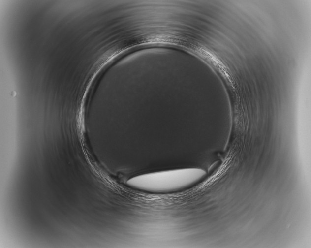 X0000093400892200710260915