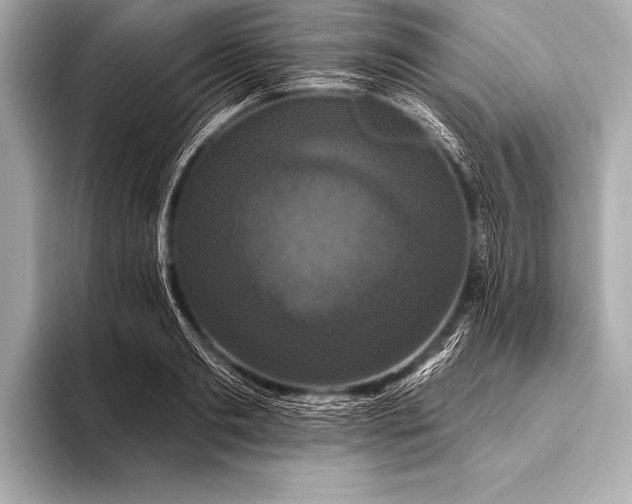 X0000093400893200710260915