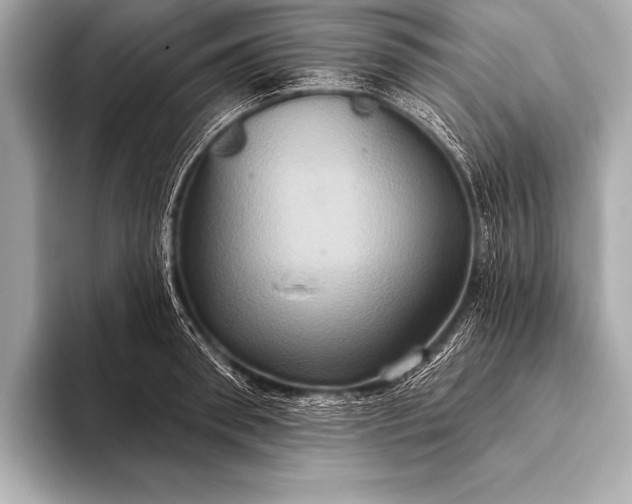 X0000093400898200710260915