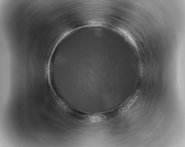 X0000093400899200710260915