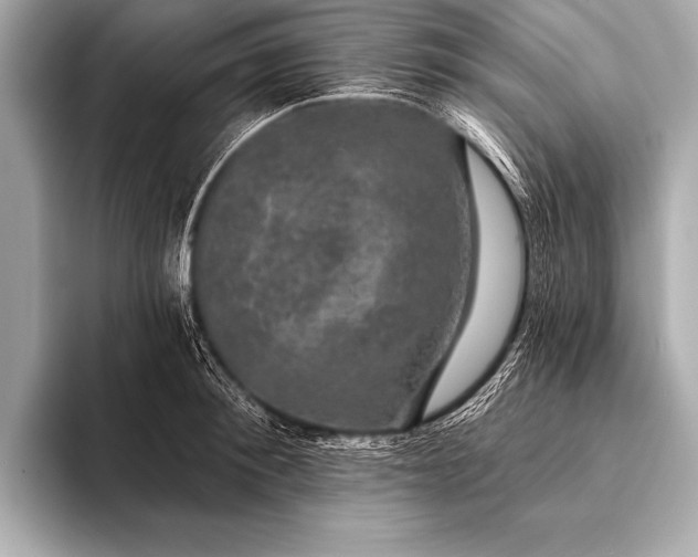 X0000093400900200710260915