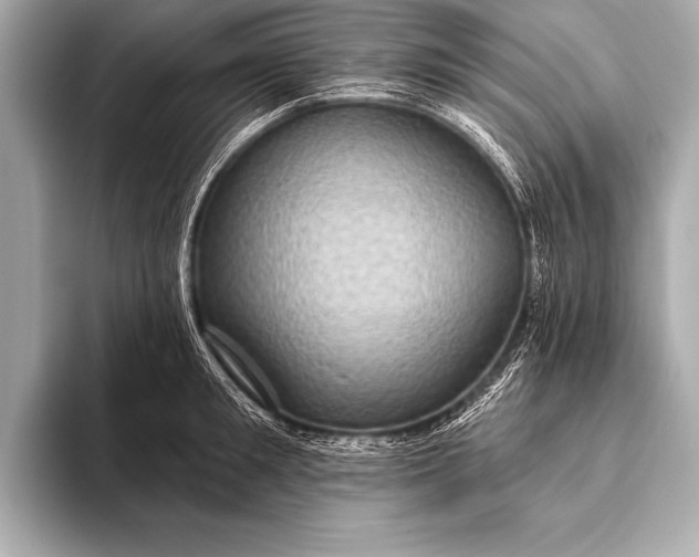 X0000093400901200710260915