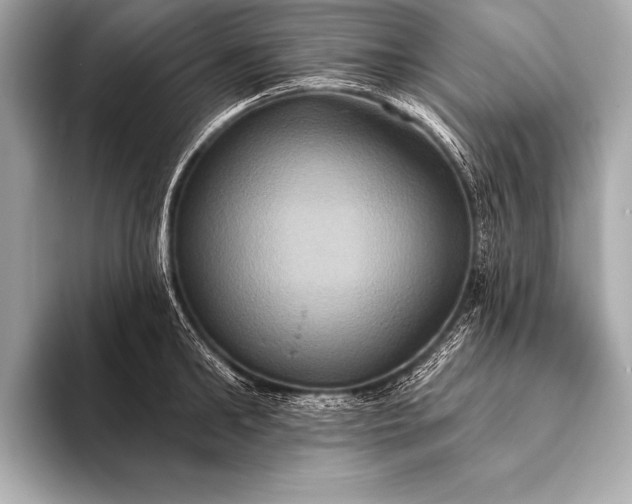 X0000093400902200710260915