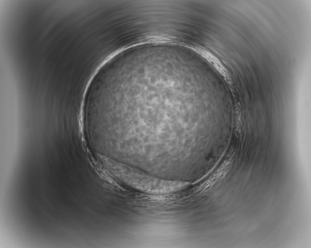 X0000093400904200710260915