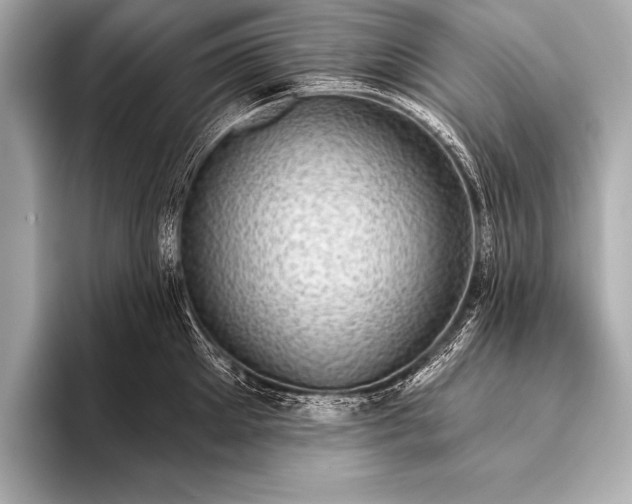 X0000093400905200710260915