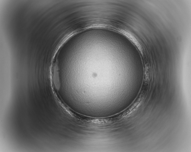 X0000093400906200710260914