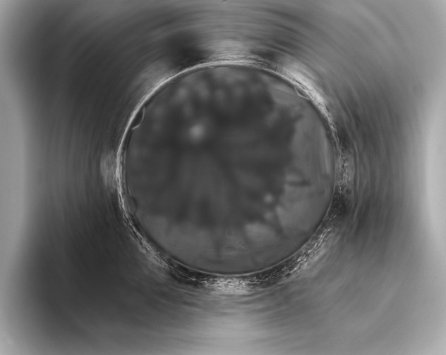 X0000093400907200710260914