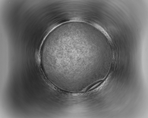 X0000093400908200710260914