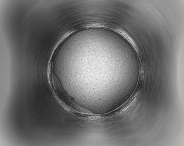 X0000093400909200710260914