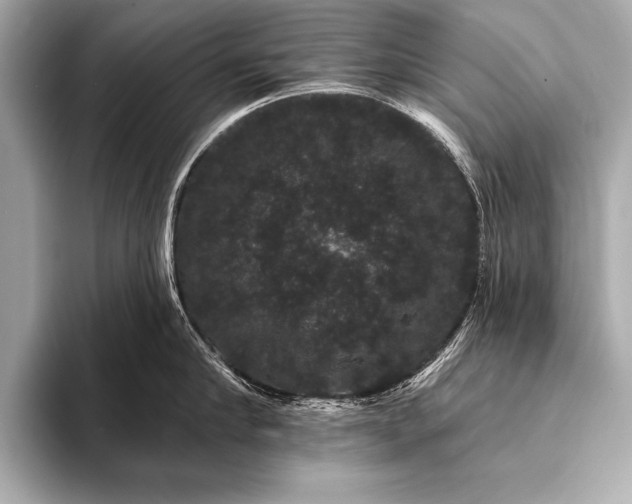 X0000093400910200710260914