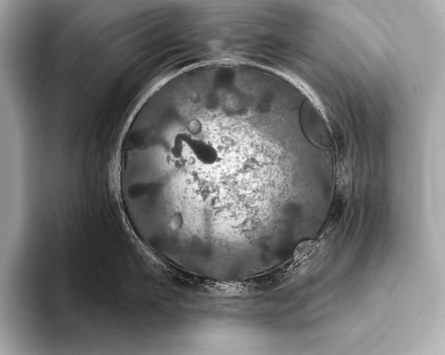 X0000093400911200710260914