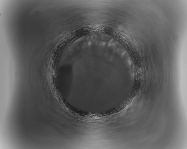 X0000093400913200710260914