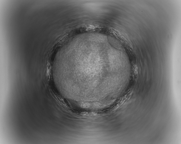 X0000093400914200710260914