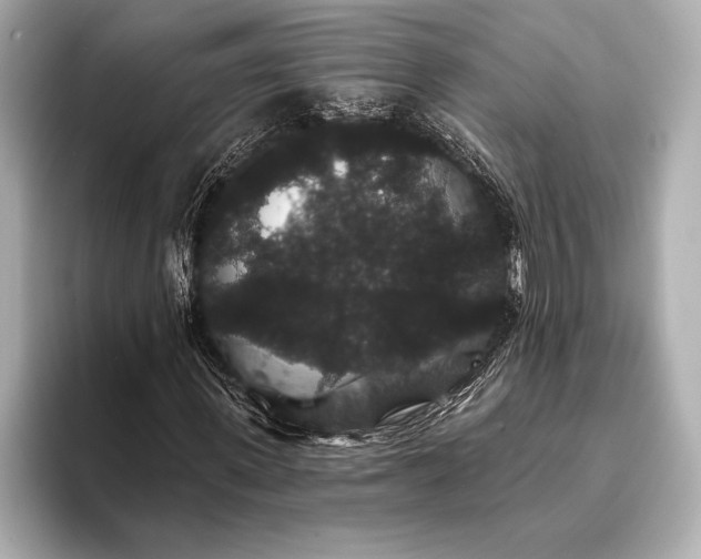 X0000093400915200710260914